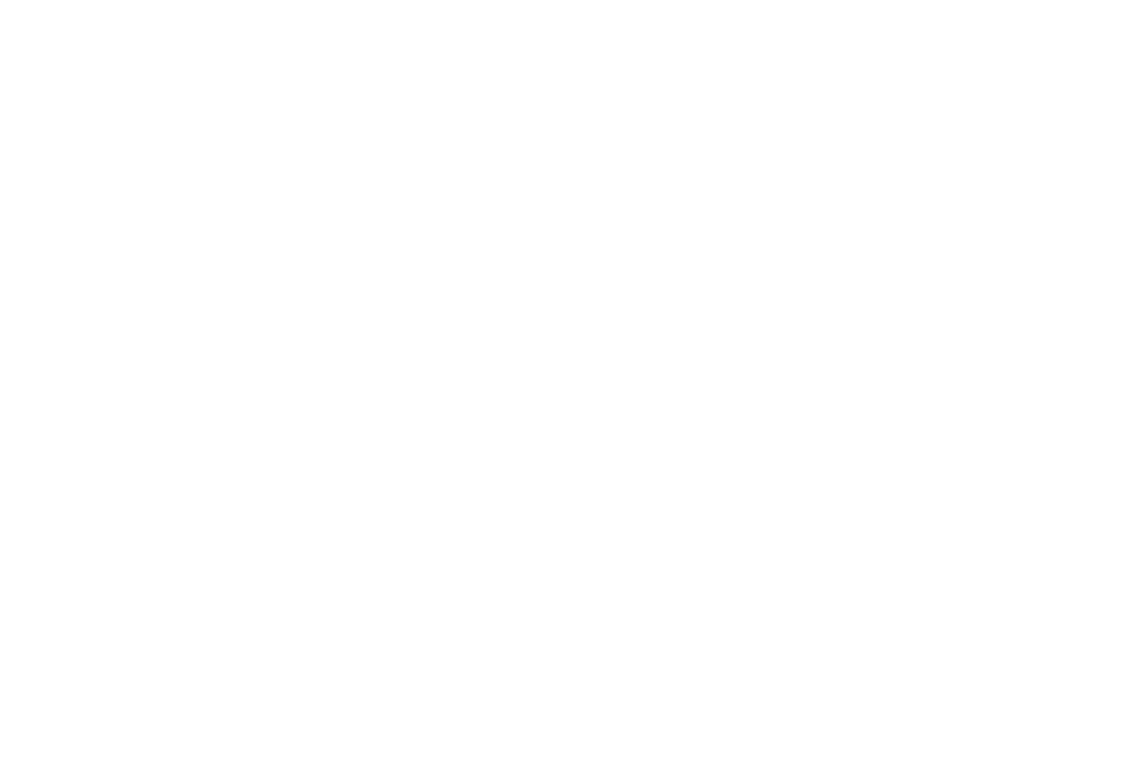 DLT Science Foundation